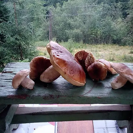 Wostry * Bila (Moravia-Silesia)