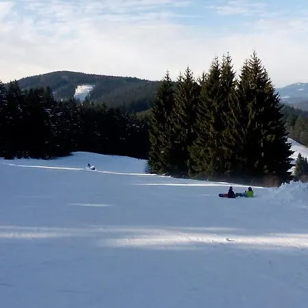 Alpehytte Wostry *