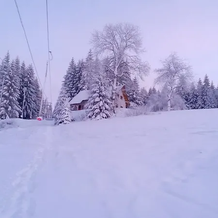 Wostry Alpehytte *