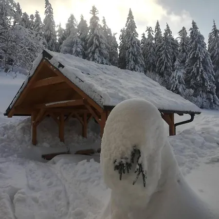 Chalet Wostry Bila (Moravia-Silesia)