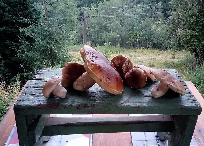 Wostry * Bílá