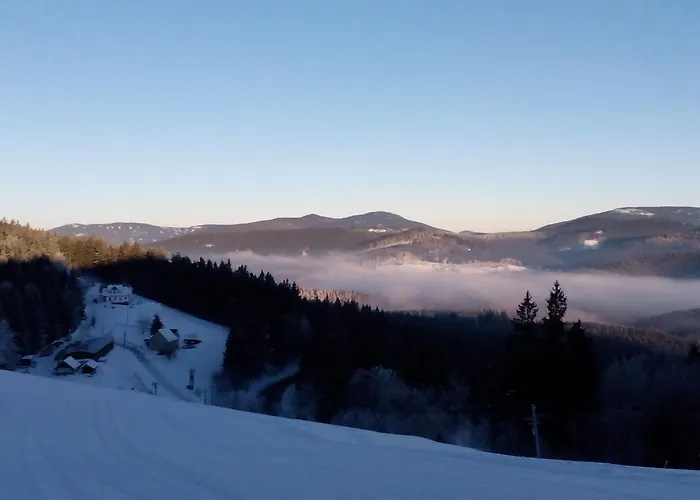 Alpesi faház Wostry *