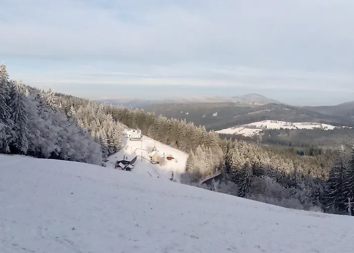 Wostry Alpesi faház Bílá