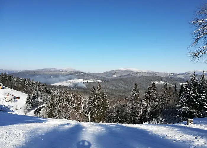 Wostry Била