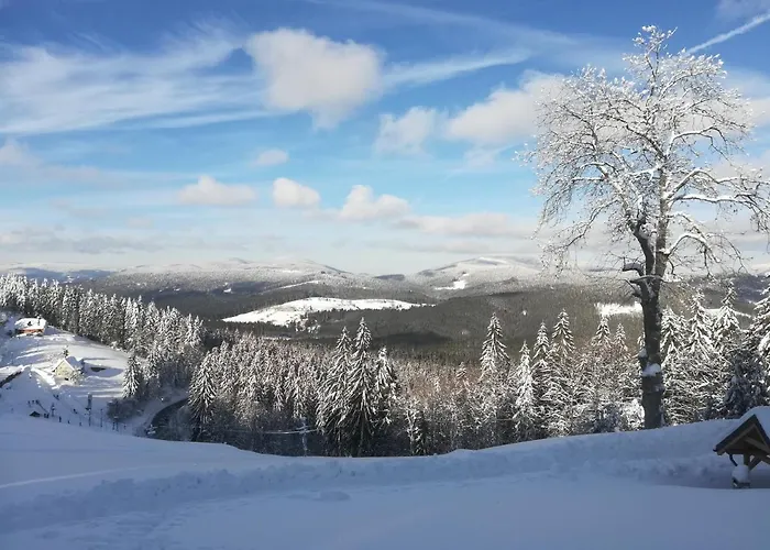 Шале Wostry *